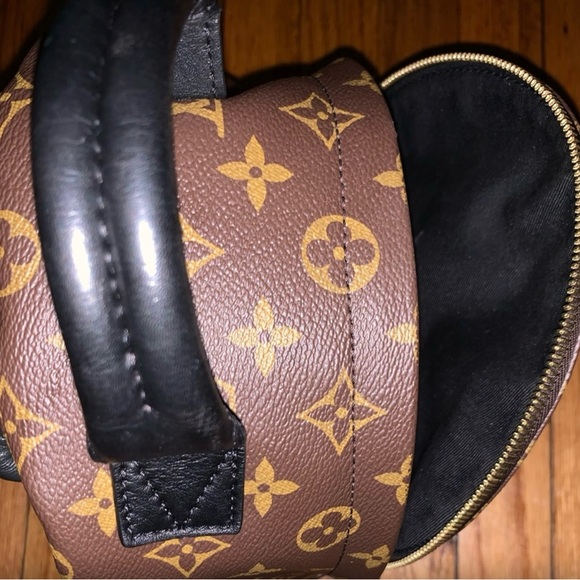 Louis Vuitton 
Monogram Palm Springs Backpack PM - Picture 10 of 15